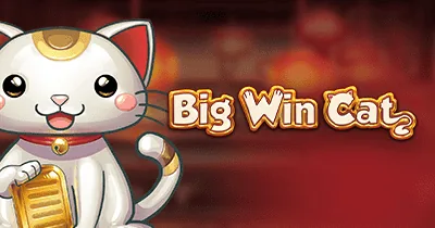Big Win Cat