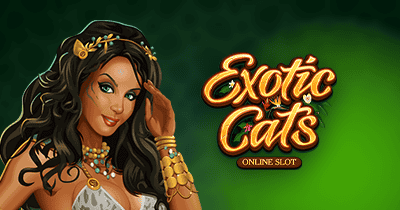 Exotic Cats