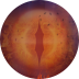 Dragon’s Fire MegaWays