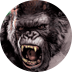 King Kong