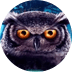 Owl Eyes